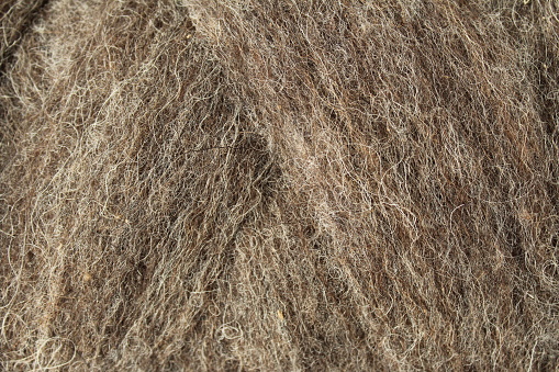 Sheep wool rough brown background