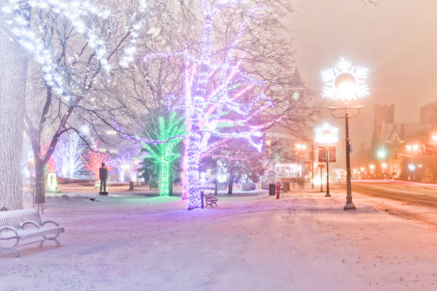 istock Winter at GagePark 1188570275
