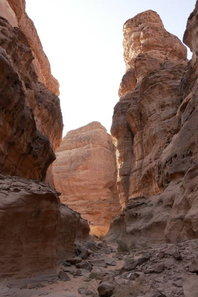 istock Rock formations and canyons near Al Ula, Western Saudi Arabia 1188570824