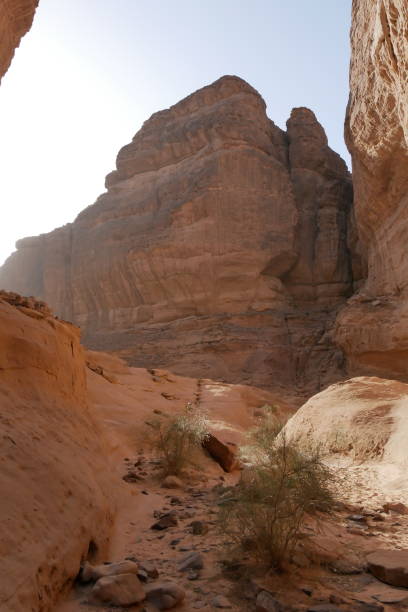 istock Rock formations and canyons near Al Ula, Western Saudi Arabia 1188574121