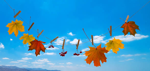 istock Colorful maple leaves on a rope 1188576015