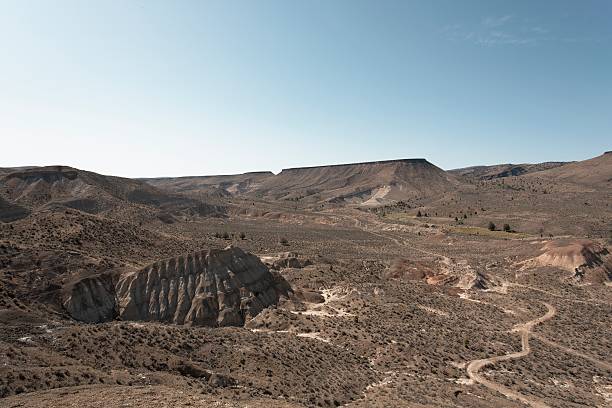 istock Trails in the dry American western desert plain landscape 118857607