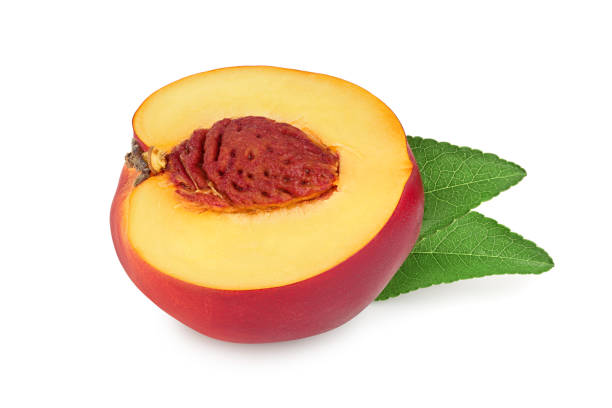 istock Half nectarine fruit with leaf isolated on white background cutout 1188576188