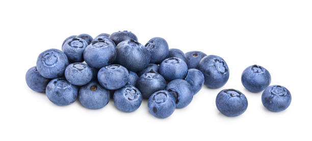 istock fresh blueberry isolated on white background closeup 1188576212