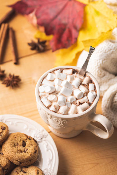istock Hot chocolate with marshmallows and chocolate chip cookies 1188576968