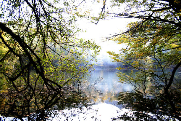 istock Bolu Yedi Goller Beautiful Photo 1188577201