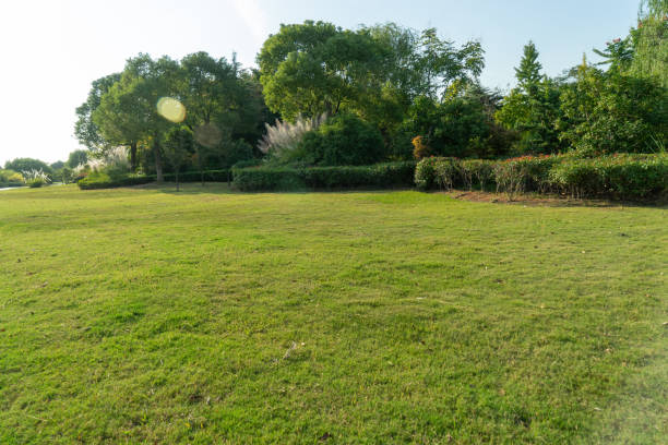 istock Grassland  square in park, in china 1188579997