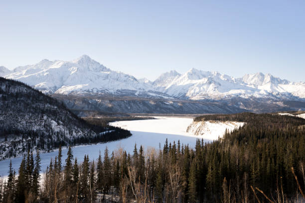istock Mountain with trees and heavy stunning white snow 1188581861