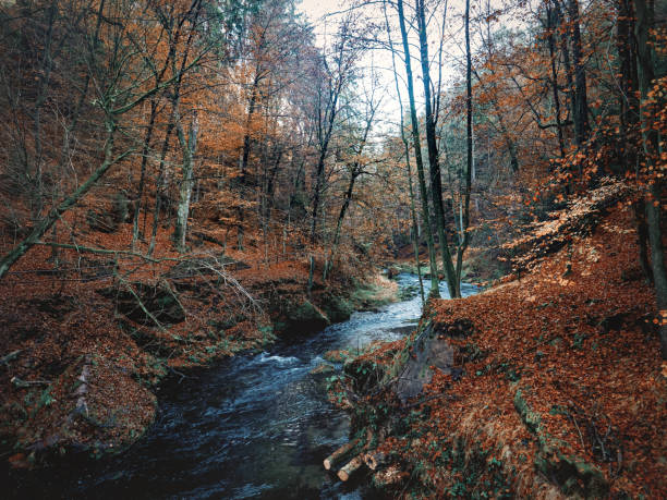 istock river in mountains of Czech Switzerland 1188583045