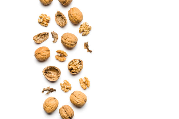 walnuts top view of walnuts closed and broken scattered on a white background with copy space walnut stock pictures, royalty-free photos & images