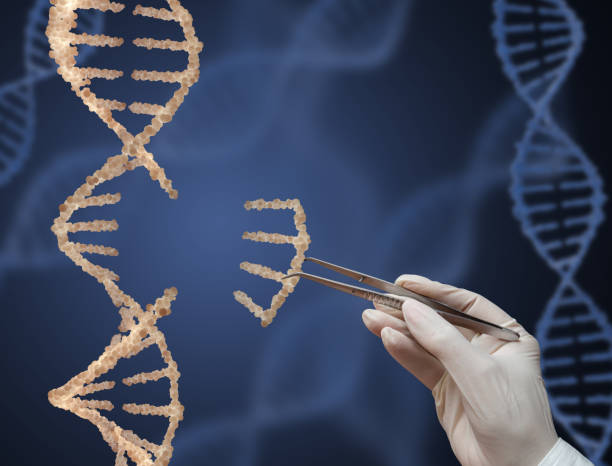 a molécula de dna - cytosine - fotografias e filmes do acervo