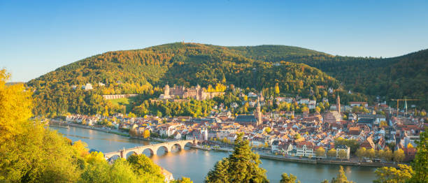 istock Panoramic view of beautiful Heidelberg, Germany 1188587963