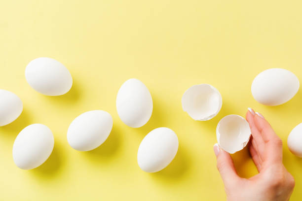 istock White raw chicken eggs lying on yellow light background and female hand holds broken egg. Top view. 1188588359