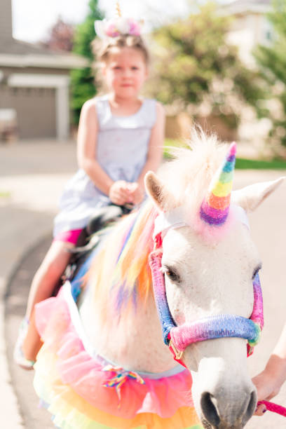 маленькая девочка верхом единорога - horse child pony little girls стоковые фото и изображения