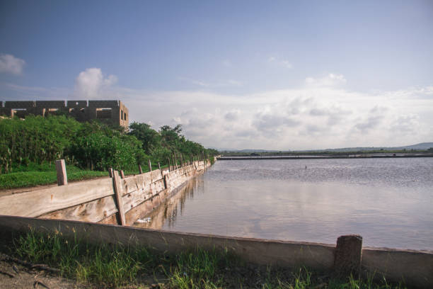 istock River at a rural area in Africa, Ghana 1188597777