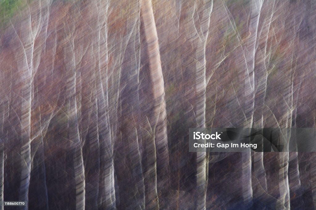 Photograph using tilting technique on wood Abstract Stock Photo