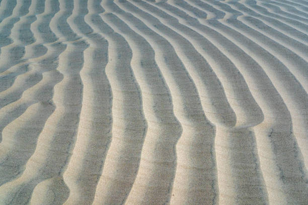 istock desert sand dunes artwork texture background 1188605129