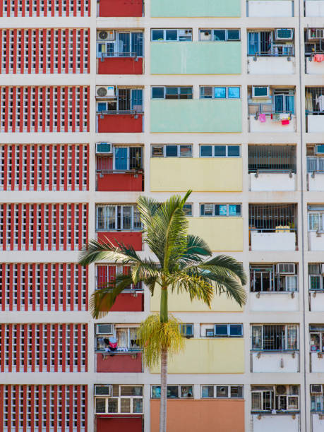 istock Palm tree in colorful building 1188608272