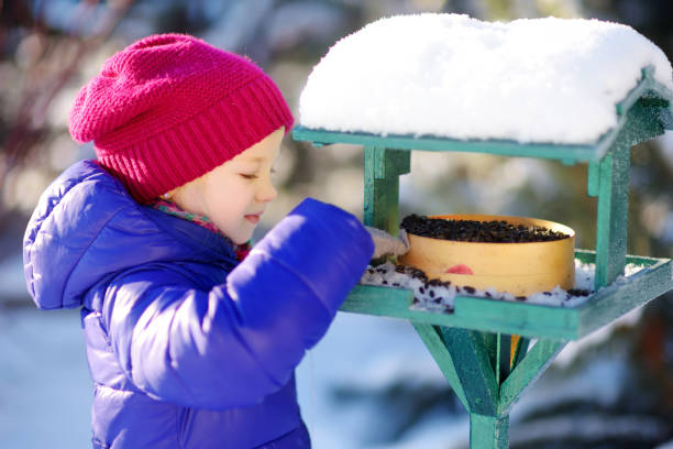 Adorable little girl feeding birds on chilly winter day in city park. Child helping birds at winter. Adorable little girl feeding birds on chilly winter day in city park. Child helping birds at winter. Winter activities for kids. bird feeder photos stock pictures, royalty-free photos & images