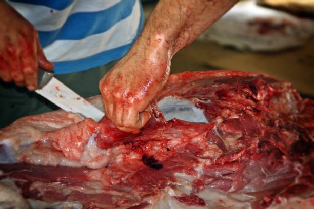 Exploded process of the pig in the traditional manual way.