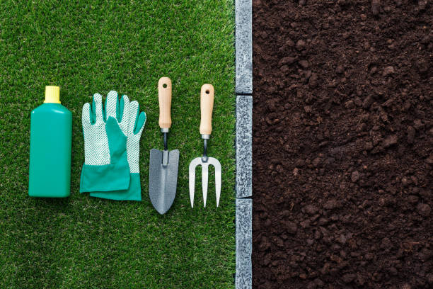 istock Horticulture and gardening 1188612431