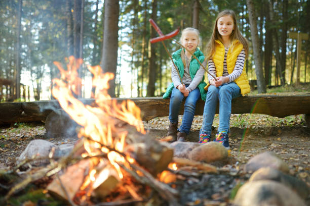 Cute young sisters roasting hotdogs on sticks at bonfire. Children having fun at camp fire. Camping with kids in fall forest. Cute young sisters roasting hotdogs on sticks at bonfire. Children having fun at camp fire. Camping with kids in fall forest. Family leisure with kids at autumn. bonfire photos stock pictures, royalty-free photos & images