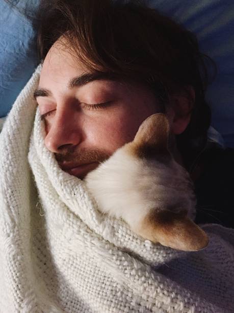 istock Cat sleeps with his owner 1188613305