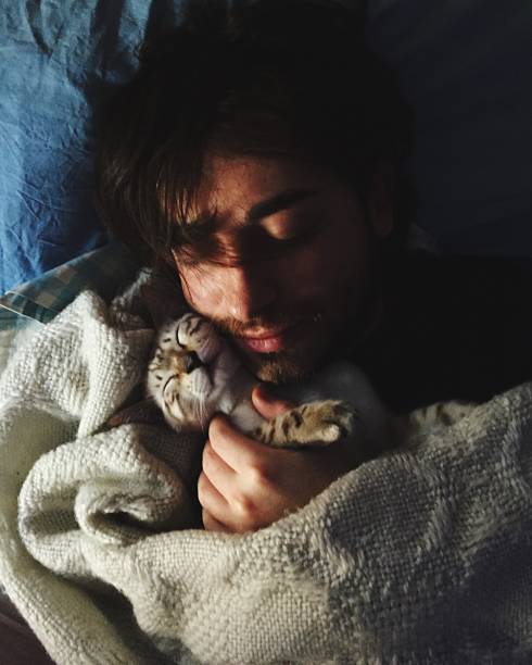 istock Cat sleeps with his owner 1188613669
