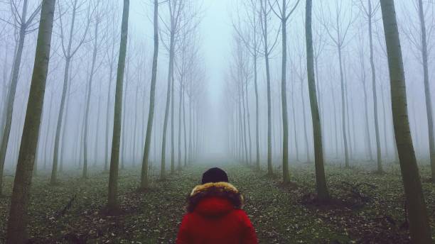 ein mann im nebel im wald - contemplation silhouette tree men stock-fotos und bilder