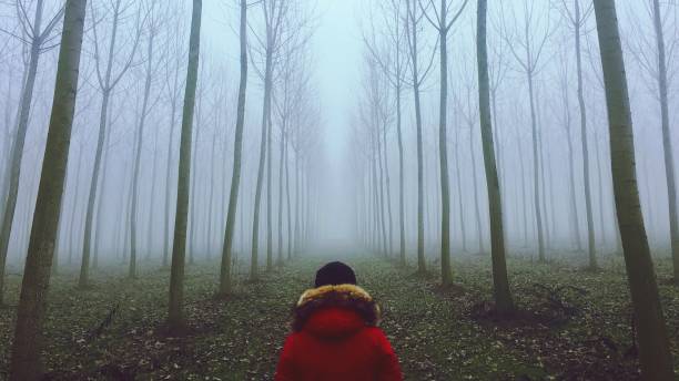 un hombre en la niebla en el bosque - contemplation silhouette tree men fotografías e imágenes de stock