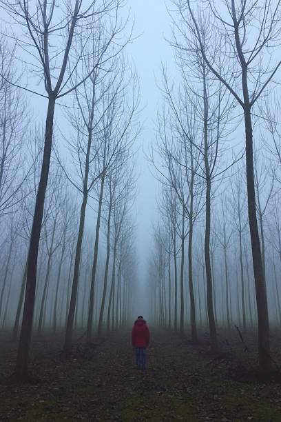 istock a man in the fog in the forest 1188614836