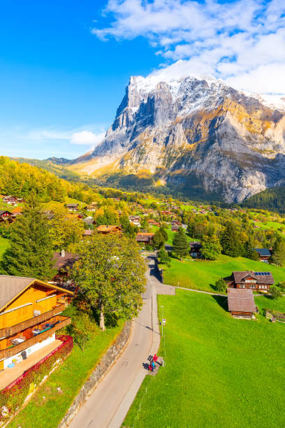 Grindelwald, Switzerland village and mountains view Grindelwald, Switzerland aerial village view and autumn Swiss Alps snow mountains panorama landscape, wooden chalets on green fields and high peaks in background, Bernese Oberland, Europe engelberg photos stock pictures, royalty-free photos & images