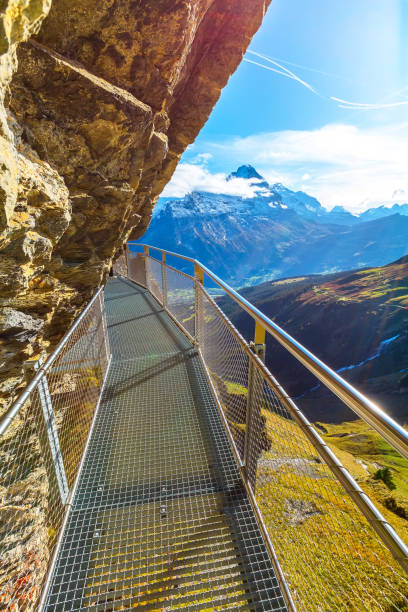 istock Cliff Walk in Grindelwald First, Switzerland 1188615010