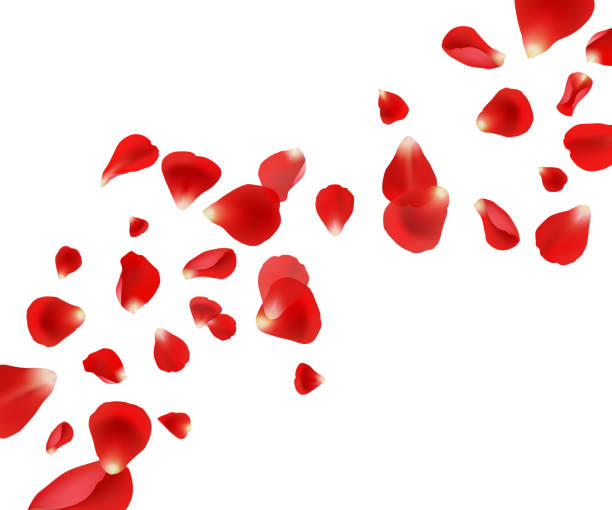 istock Petal background. Flying rose petals wedding beautiful template design for cards invitation vector pictures 1188616192