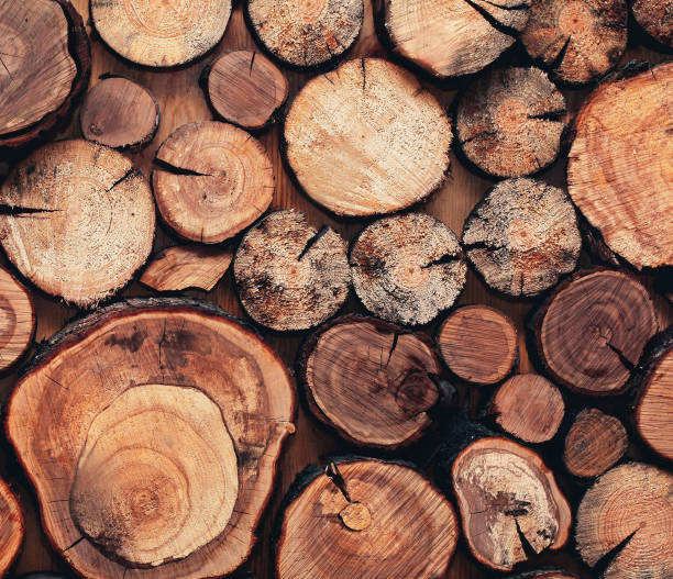 istock Close up modern creative decor wall with stacked wooden sawn logs background 1188616814