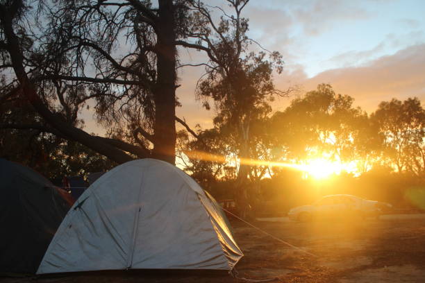 spanie na wolności - outdoors tent tourism animals in the wild zdjęcia i obrazy z banku zdjęć