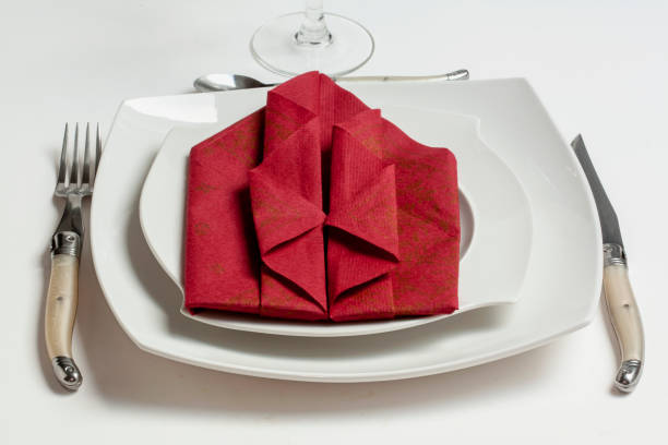 istock Paper towel folding on plate and white background 1188619373