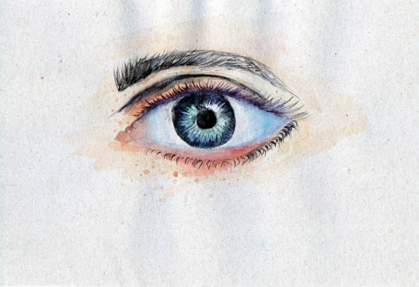 human eye painted with watercolors - human eye eyesight women creativity imagens e fotografias de stock