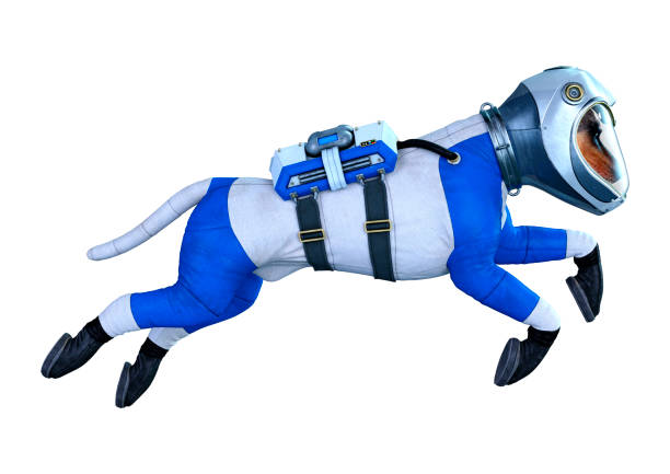 istock 3D illustration astronaut dog on white 1188620460