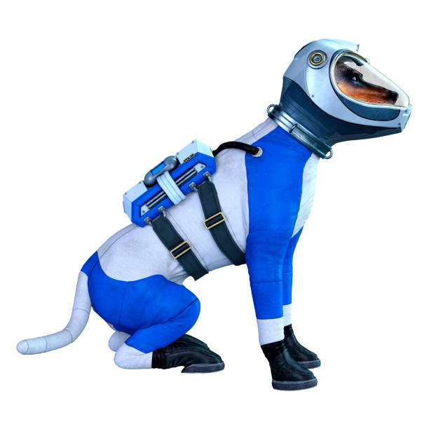 istock 3D illustration astronaut dog on white 1188620497