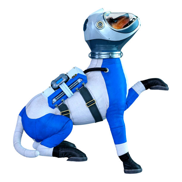 istock 3D illustration astronaut dog on white 1188620500