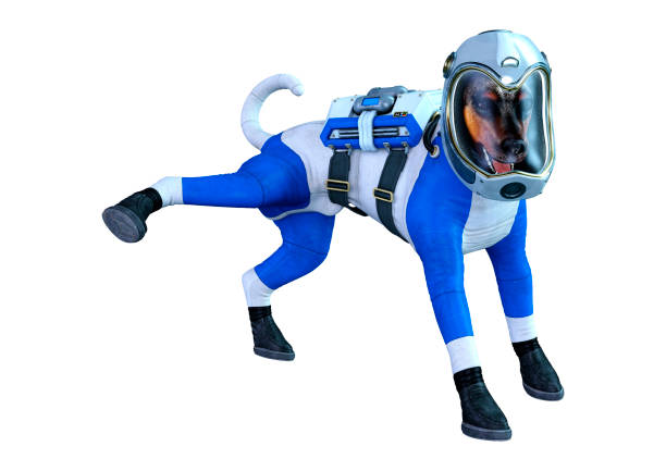 istock 3D illustration astronaut dog on white 1188620503