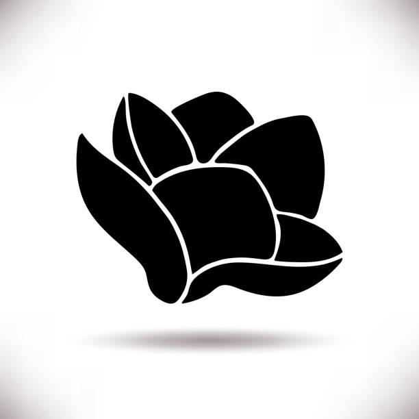 ilustrações de stock, clip art, desenhos animados e ícones de black silhouettes of hand drawn magnolia flower - magnolia southern usa white flower