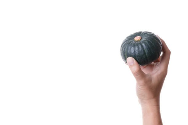Hand holding small Japanese pumpkin or kabocha, winter squash on white background