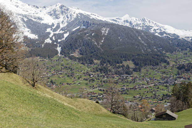 istock Landscape near Grindelwald, Switzerland 1188627161