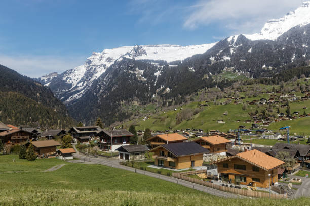 istock Landscape near Grindelwald, Switzerland 1188627625
