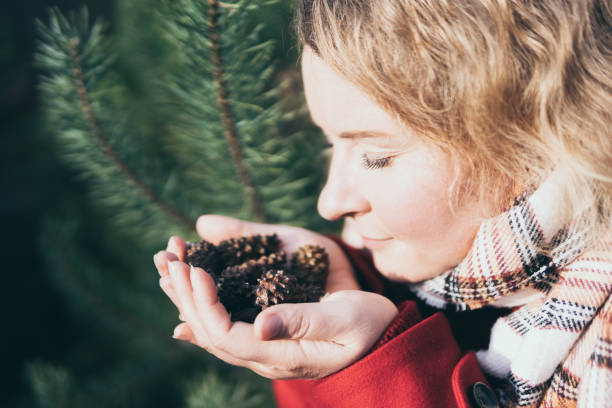 Young blonde Caucasian woman holds and smells Christmas tree pinecones in her hands