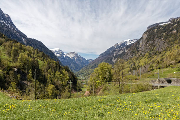 Beautiful landscape from view point on the way from Interlaken to grindelwald, Switzerland.\nYou can feel big nature and clear air.