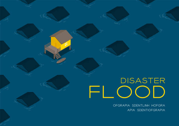 House living with boat 3d isometric pattern, Flood disaster concept poster and social banner post horizontal design illustration isolated on blue background with copy space, vector eps 10 House living with boat 3d isometric pattern, Flood disaster concept poster and social banner post horizontal design illustration isolated on blue background with copy space, vector eps 10 flooded home stock illustrations
