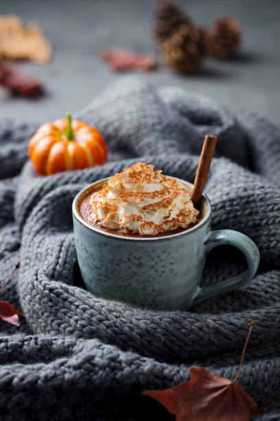 pumpkin latte with spices. boozy cocktail with whipped cream. grey knitted background. copy space. - latté pumpkin spice coffee imagens e fotografias de stock